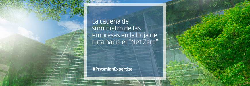 La cadena de suministro de las empresas en la hoja de ruta hacia el “Net Zero”