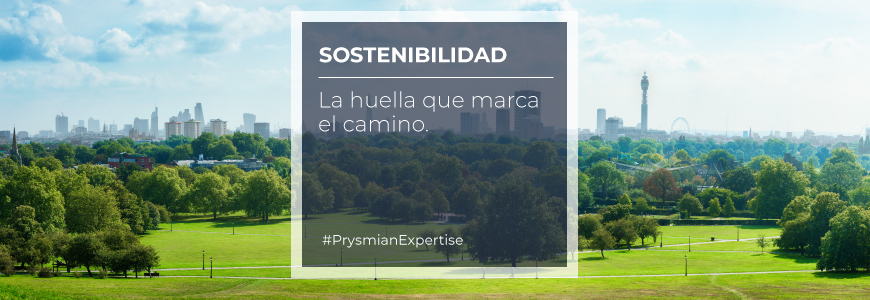 Sostenibilidad